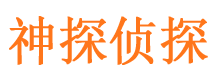 双台子市侦探公司